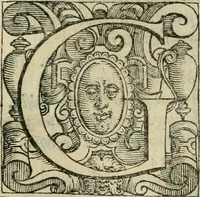 An illustration from Le metamorfosi di Ovidio (1584)