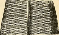 An illustration from Le microscope manuel a l'usage des étudiants (1867)