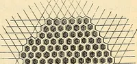 An illustration from Le microscope manuel a l'usage des étudiants (1867)