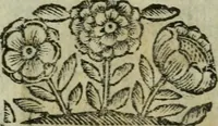An illustration from Le minere della pittura : compendiosa informazione (1664)