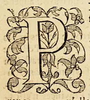 An illustration from Le miroir de la cruelle, & horrible tyrannie espagnole perpetree au Pays Bas, par le tyran duc de Albe, & aultres co[m]mandeurs de par le roy Philippe le deuxiesme. : On a adjoinct la deuxiesme partie de les tyrannies commises aux Indes occidentales par les Espagnols. . (1620)