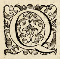 An illustration from Le miroir de la cruelle, & horrible tyrannie espagnole perpetree au Pays Bas, par le tyran duc de Albe, & aultres co[m]mandeurs de par le roy Philippe le deuxiesme. : On a adjoinct la deuxiesme partie de les tyrannies commises aux Indes occidentales par les Espagnols. . (1620)