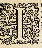 An illustration from Le miroir de la cruelle, & horrible tyrannie espagnole perpetree au Pays Bas, par le tyran duc de Albe, & aultres co[m]mandeurs de par le roy Philippe le deuxiesme. : On a adjoinct la deuxiesme partie de les tyrannies commises aux Indes occidentales par les Espagnols. . (1620)
