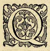 An illustration from Le miroir de la tyrannie espagnole perpetree aux Indes Occidentales. : On verra icy la cruaute plus que inhumaine, commise par les Espagnols, aussi la description de ces terres, peuples, et leur nature. (1620)
