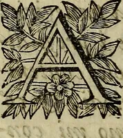 An illustration from Le misteriose pitture del Palazzo Moroni (1655)