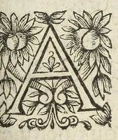 Picture 10 of 19 from L'Endimion (1624), leaf 163