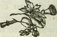 An illustration from L'enfer des peuples anciens (1784)