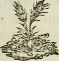 An illustration from L'enfer des peuples anciens (1784)