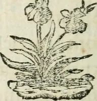 An illustration from L'enfer des peuples anciens (1784)