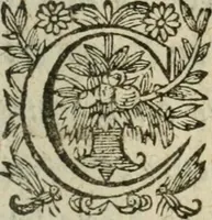 An illustration from Le novveav Cynee; ov, Discovrs des occasions et moyens d'etablir vne paix generale & la liberté du commerce par tout le monde (1623)