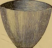 An illustration from The lens (1872)