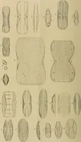 An illustration from The lens (1873)