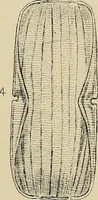 An illustration from The lens (1873)