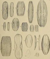 An illustration from The lens (1873)