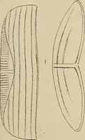 An illustration from The lens (1873)