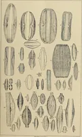 An illustration from The lens (1873)