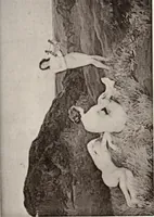Picture 39 of 74 from Le Nu au salon (1888), leaf 110