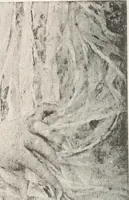 Picture 48 of 74 from Le Nu au salon (1888), leaf 131