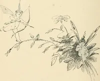 Picture 11 of 74 from Le Nu au salon (1888), leaf 35