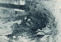 Picture 25 of 74 from Le Nu au salon (1888), leaf 62