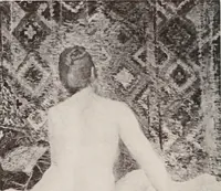 Picture 30 of 74 from Le Nu au salon (1888), leaf 85