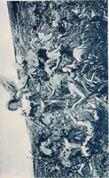 Picture 62 of 75 from Le Nu au salon (1888), leaf 160