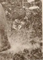 Picture 21 of 75 from Le Nu au salon (1888), leaf 52