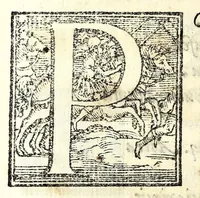 An illustration from Leonardi Ginii Cortonensis In funere serenissimi Cosmi Medicis magni Etruriae ducis funebris laudatio ad Senenses (1574)