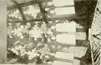 An illustration from Leon, Burgos and Salamanca; a historical and descriptive account (1908)