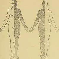 Picture 9 of 85 from Leçons cliniques sur l'hystérie et l'hypnotisme : faites à l'Hôpital Saint-André de Bordeaux (1891), leaf 148