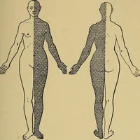 An illustration from Leçons cliniques sur l'hystérie et l'hypnotisme : faites à l'Hôpital Saint-André de Bordeaux (1891)