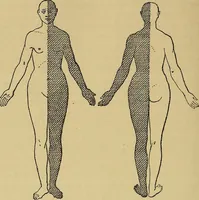 Picture 38 of 83 from Leçons cliniques sur l'hystérie et l'hypnotisme : faites à l'Hôpital Saint-André de Bordeaux (1891), leaf 359