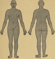 Picture 13 of 83 from Leçons cliniques sur l'hystérie et l'hypnotisme : faites à l'Hôpital Saint-André de Bordeaux (1891), leaf 38