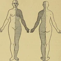 Picture 52 of 83 from Leçons cliniques sur l'hystérie et l'hypnotisme : faites à l'Hôpital Saint-André de Bordeaux (1891), leaf 417