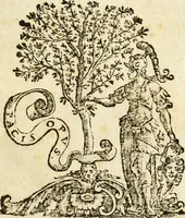 An illustration from Le Operazioni del Compasso Geometrico et Militare (1649)