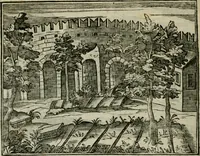 Picture 26 of 31 from Le origini di Padoua (1625), leaf 131
