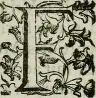 Picture 2 of 31 from Le origini di Padoua (1625), leaf 15