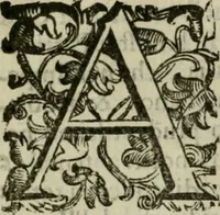Picture 29 of 31 from Le origini di Padoua (1625), leaf 155