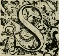 Picture 31 of 31 from Le origini di Padoua (1625), leaf 175