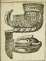 Picture 9 of 31 from Le origini di Padoua (1625), leaf 56