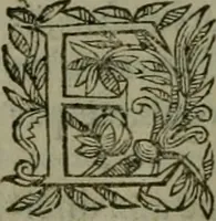Picture 21 of 28 from Le Pantheon Hvgvenot découuert et ruiné contre l'aucteur de l'Idolatrie papistique, Ministre de Vauuert, cy deuant d'Aigues mortes (1610), leaf 329