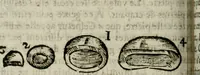 An illustration from Le parfaict ioaillier, ou, Histoire des pierreries : où sont amplement descrites leur naissance, iuste prix, moyen de les cognoistre, & se garder des contre-faites, facultez medecinales, & proprietez curieuses (1644)