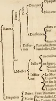 An illustration from Le parfaict ioaillier, ou, Histoire des pierreries : où sont amplement descrites leur naissance, iuste prix, moyen de les cognoistre, & se garder des contre-faites, facultez medecinales, & proprietez curieuses (1644)