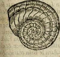 An illustration from Le parfaict ioaillier, ou, Histoire des pierreries : où sont amplement descrites leur naissance, iuste prix, moyen de les cognoistre, & se garder des contre-faites, facultez medecinales, & proprietez curieuses (1644)
