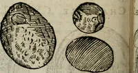 An illustration from Le parfaict ioaillier, ou, Histoire des pierreries : où sont amplement descrites leur naissance, iuste prix, moyen de les cognoistre, & se garder des contre-faites, facultez medecinales, & proprietez curieuses (1644)