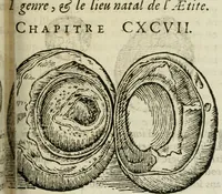 Picture 31 of 50 from Le parfaict ioaillier, ou, Histoire des pierreries : où sont amplement descrites leur naissance, iuste prix, moyen de les cognoistre, & se garder des contre-faites, facultez medecinales, & proprietez curieuses (1644), leaf 524