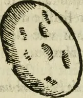 An illustration from Le parfaict ioaillier, ou, Histoire des pierreries : où sont amplement descrites leur naissance, iuste prix, moyen de les cognoistre, & se garder des contre-faites, facultez medecinales, & proprietez curieuses (1644)