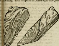 An illustration from Le parfaict ioaillier, ou, Histoire des pierreries : où sont amplement descrites leur naissance, iuste prix, moyen de les cognoistre, & se garder des contre-faites, facultez medecinales, & proprietez curieuses (1644)