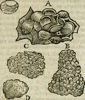 An illustration from Le parfaict ioaillier, ou, Histoire des pierreries : où sont amplement descrites leur naissance, iuste prix, moyen de les cognoistre, & se garder des contre-faites, facultez medecinales, & proprietez curieuses (1644)