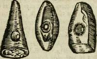 An illustration from Le parfaict ioaillier, ou, Histoire des pierreries : où sont amplement descrites leur naissance, iuste prix, moyen de les cognoistre, & se garder des contre-faites, facultez medecinales, & proprietez curieuses (1644)